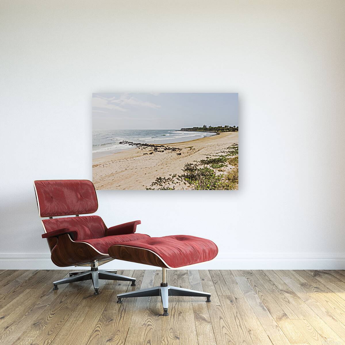 Wide Bay Reproduction