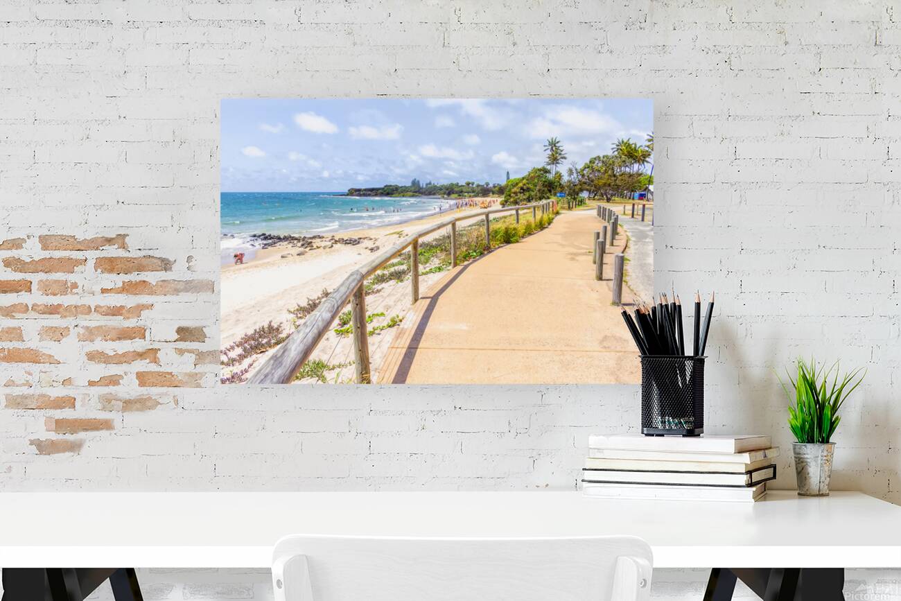 Bargara Reproduction