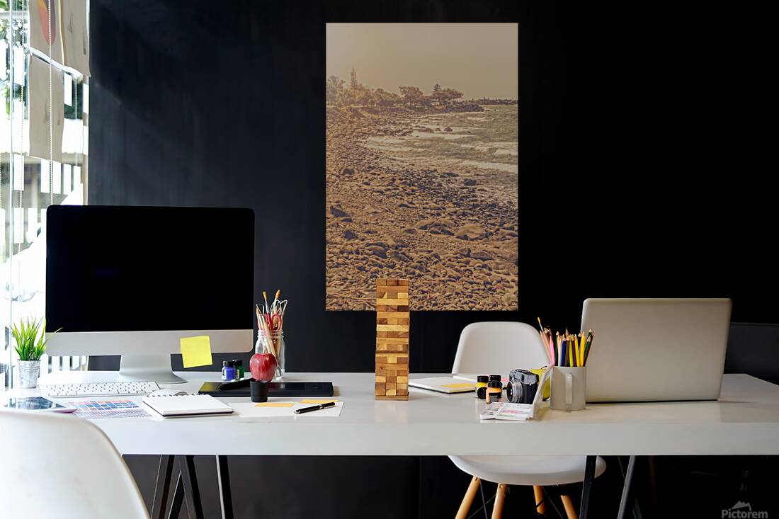 Ocean Afternoons Reproduction