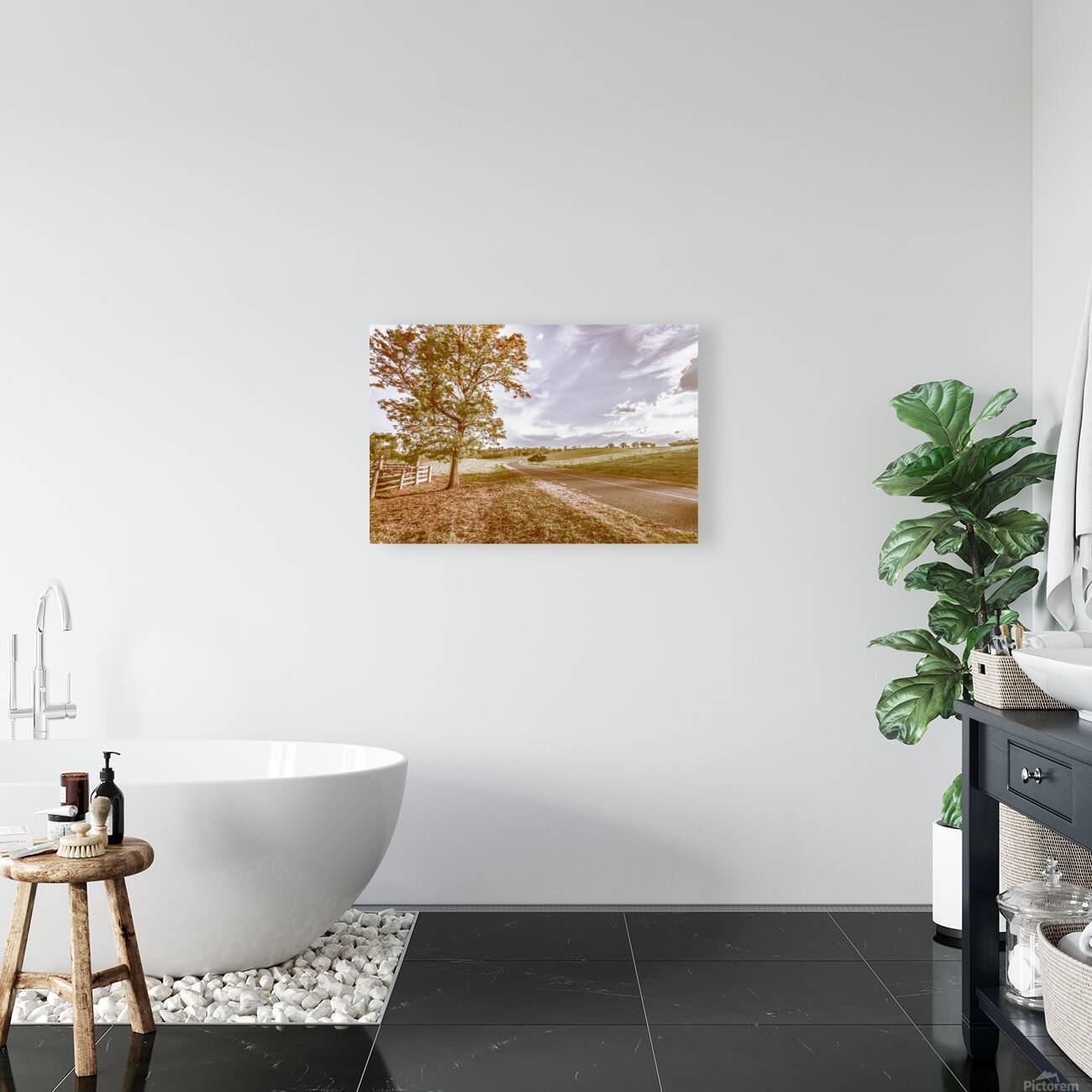 Acacia Avenue Reproduction