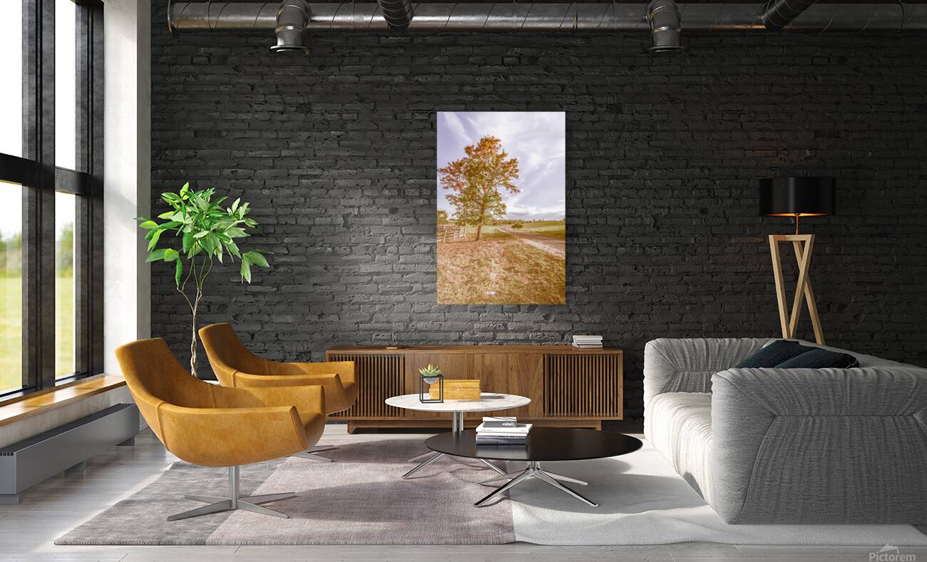 Golden Wattle Lane Reproduction