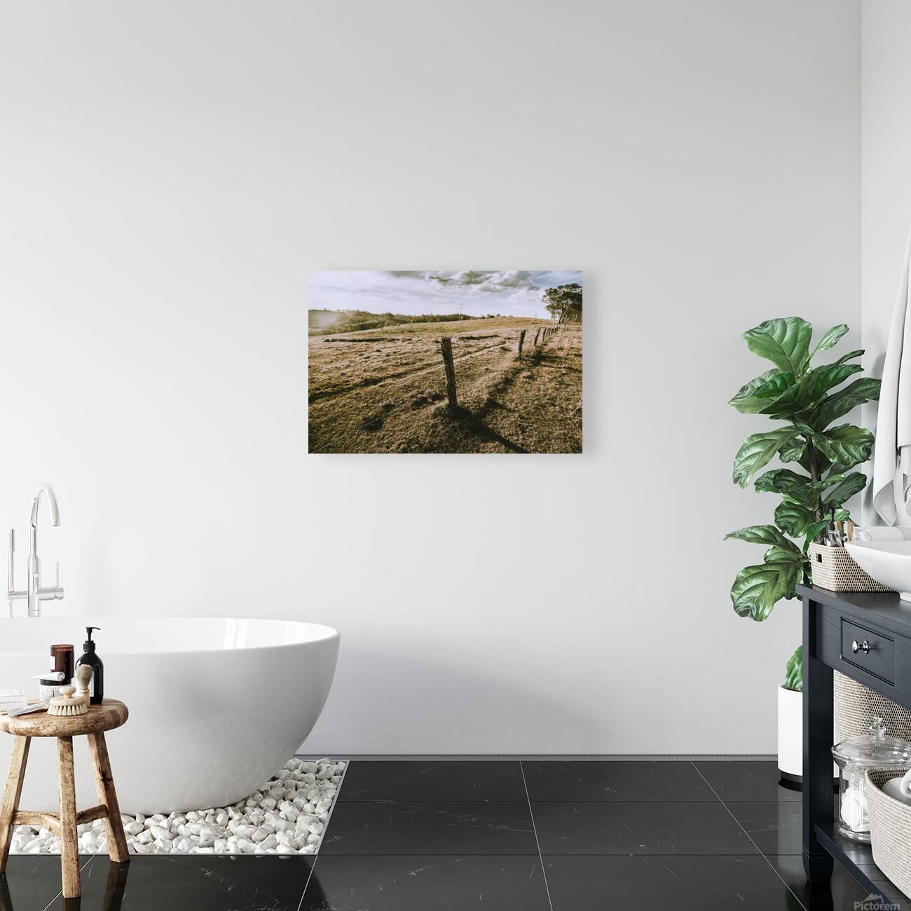 Lands Outback Reproduction