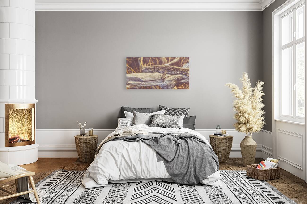 Wooded Dragon Reproduction