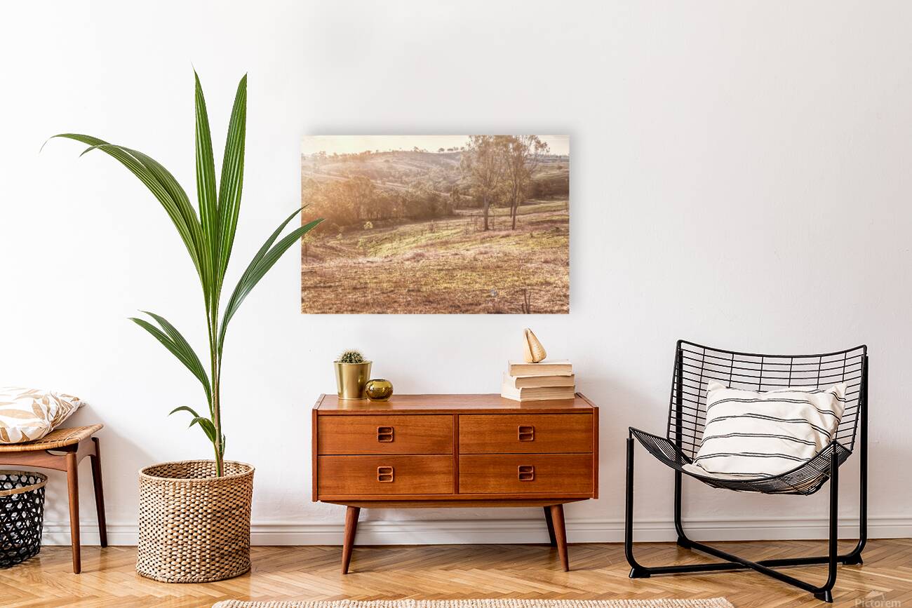 Country Harmony Reproduction