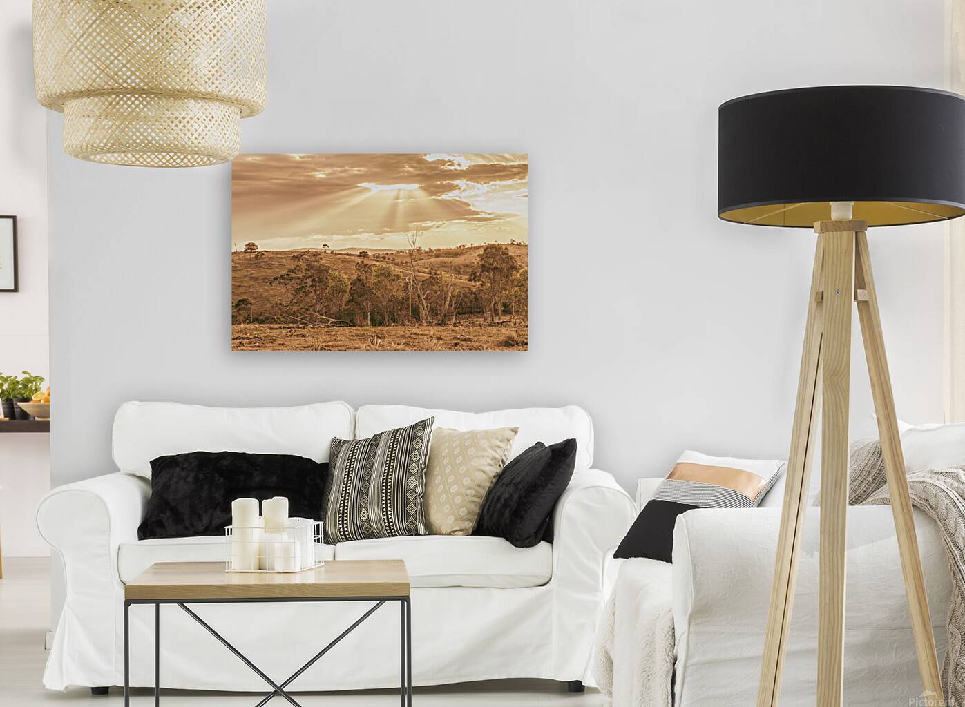 Gold Country Reproduction