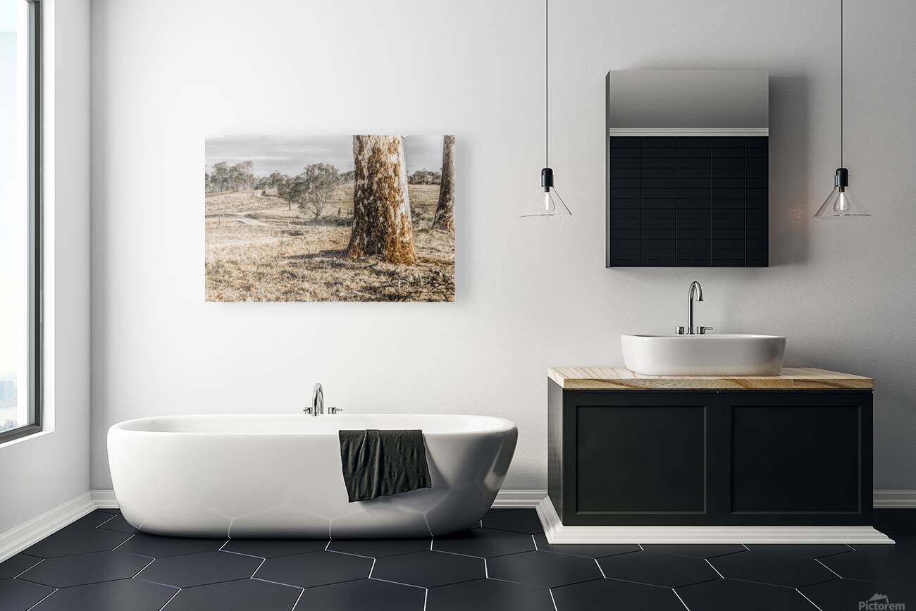 Country Wash Reproduction