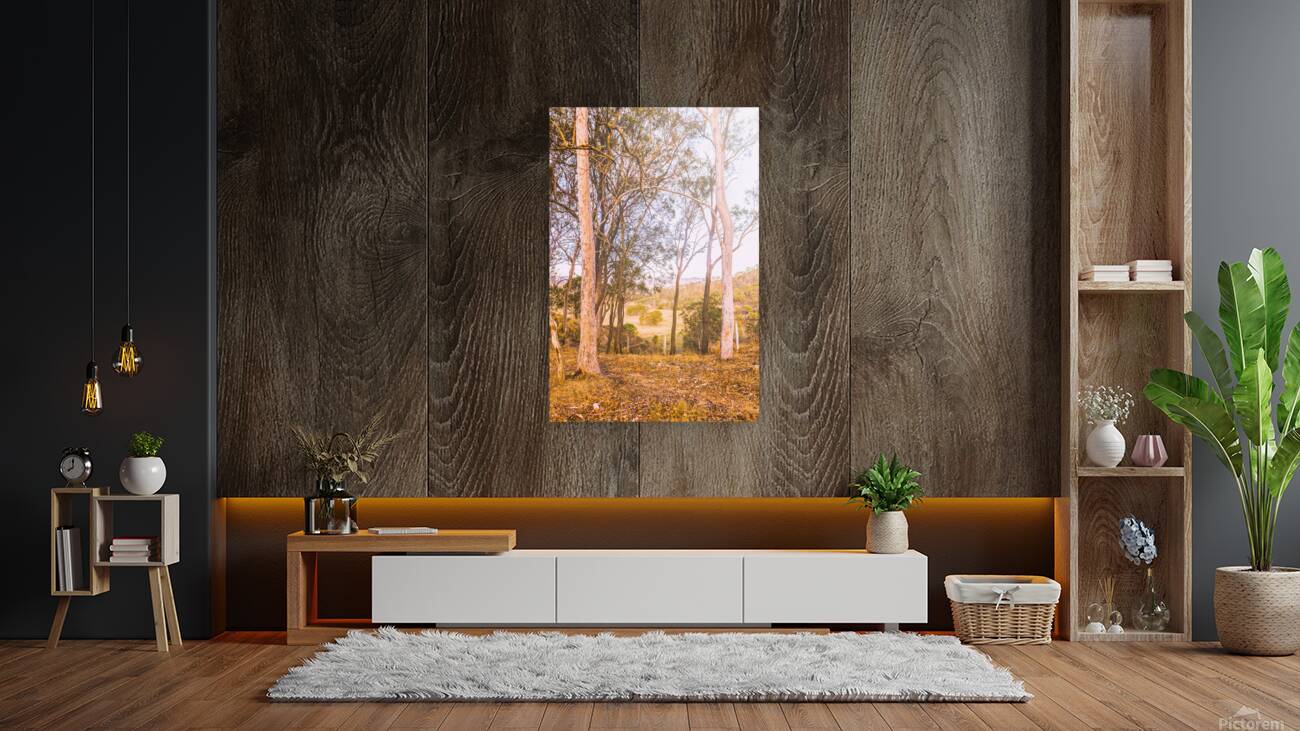 Elevated Country Outlook Reproduction