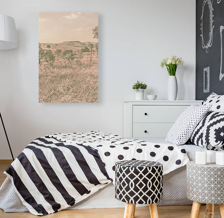 Backcountry Calm Reproduction