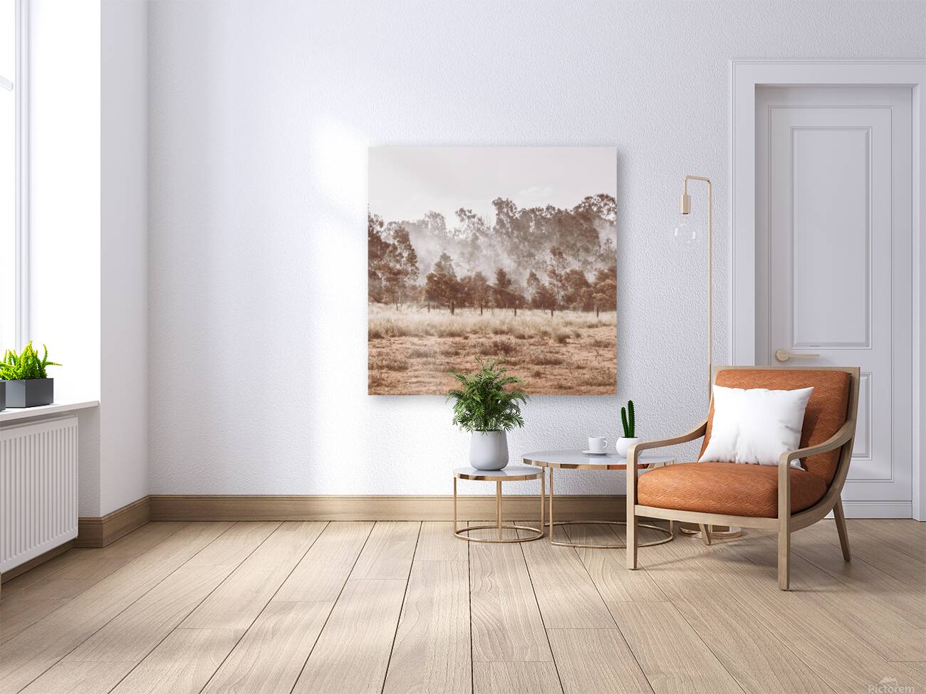 Pacified Paddock Reproduction