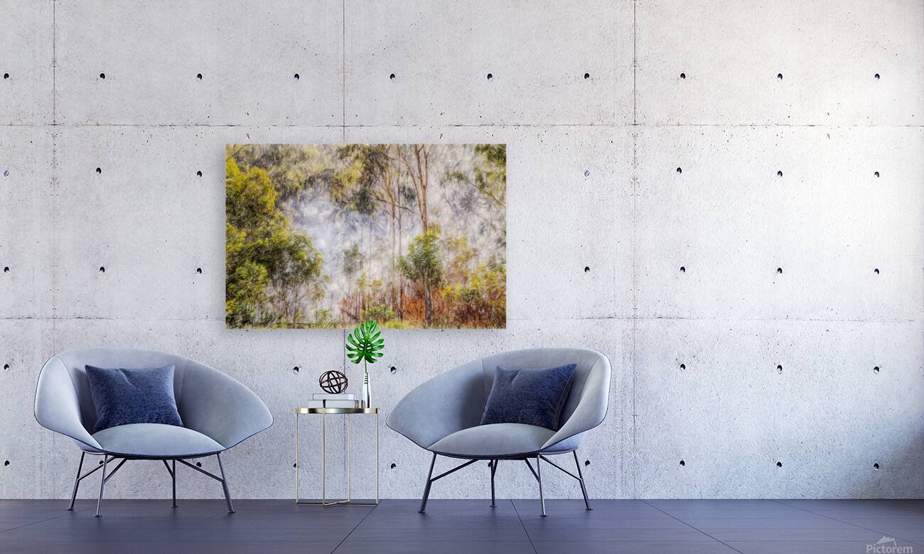 The Fog And The Forest Reproduction