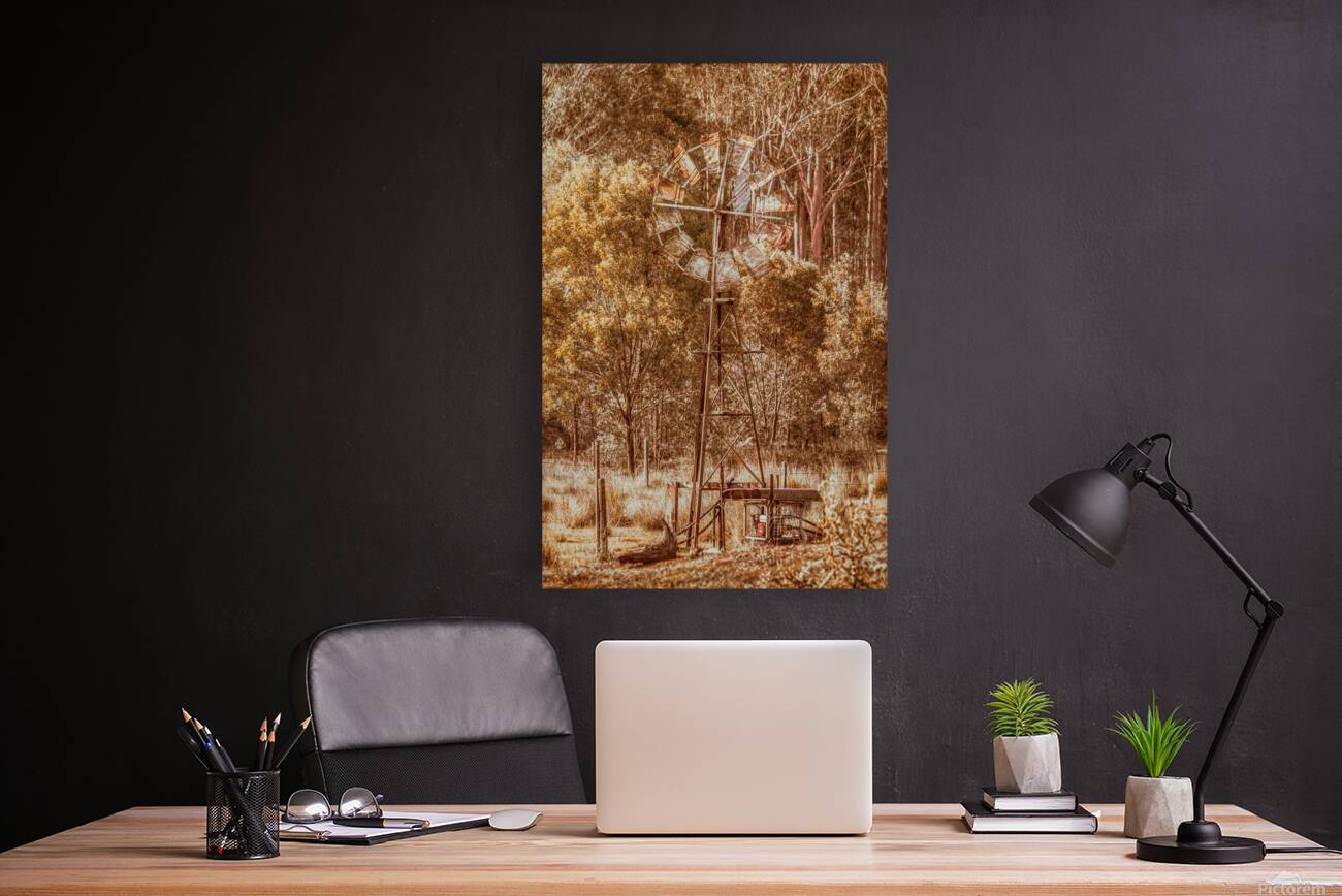 Pioneering Country Reproduction