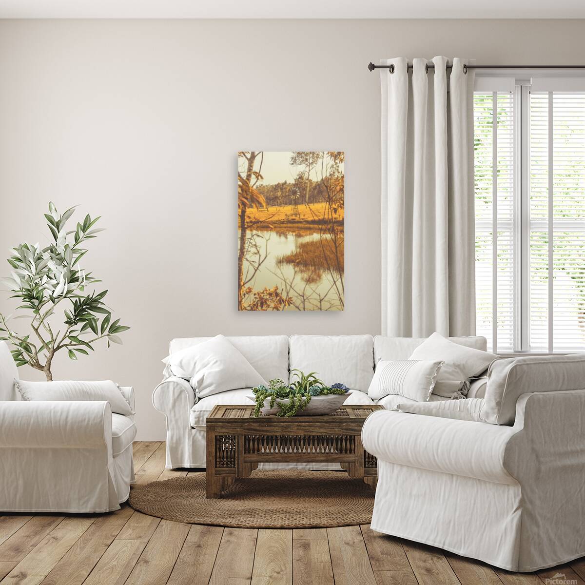 Country Golden Reproduction