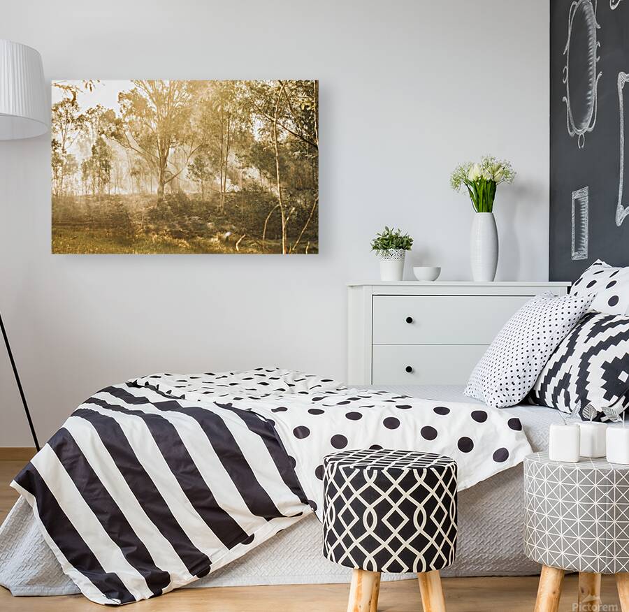 Branch Creek Magic Reproduction