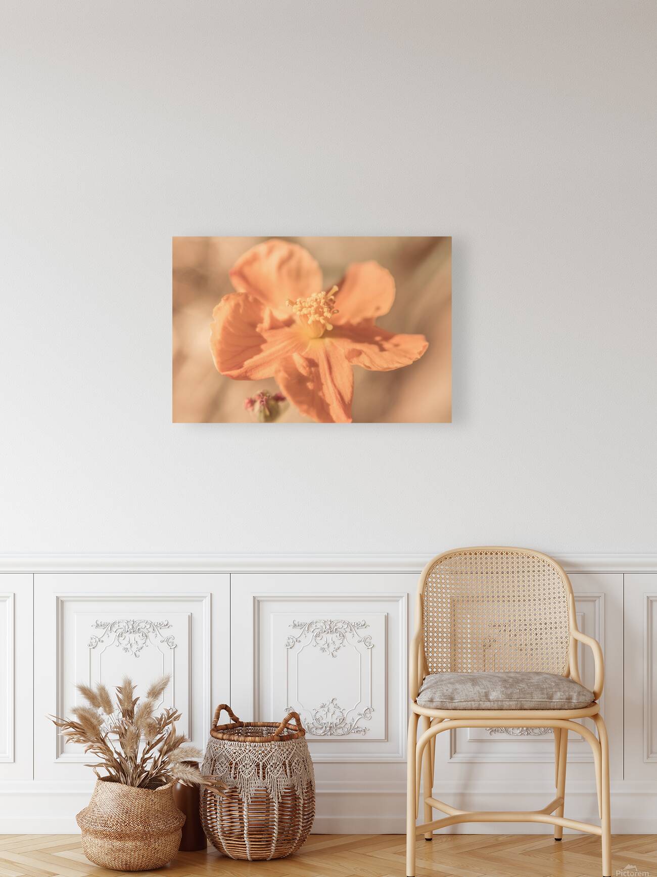 Softness And Serenity Reproduction