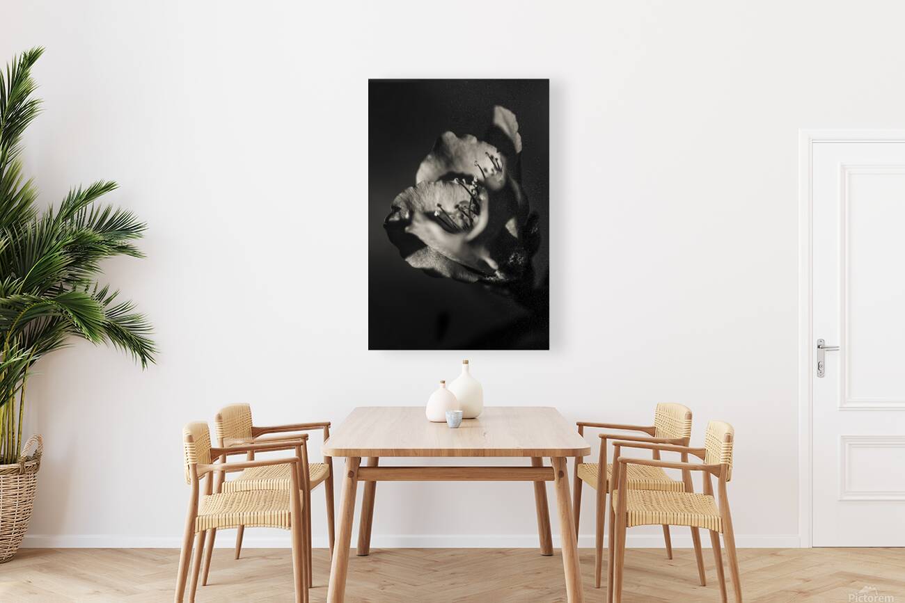 Beauty And Atmosphere Reproduction