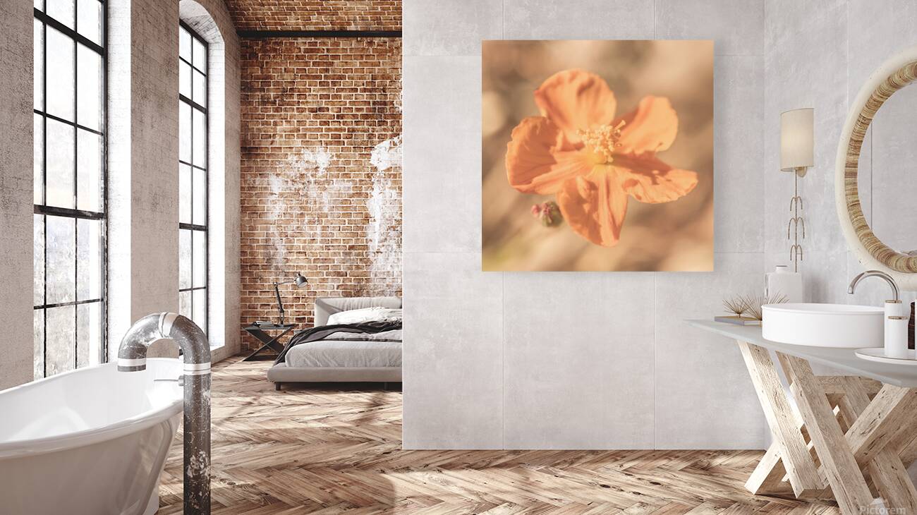 Wildflower Wonders Reproduction