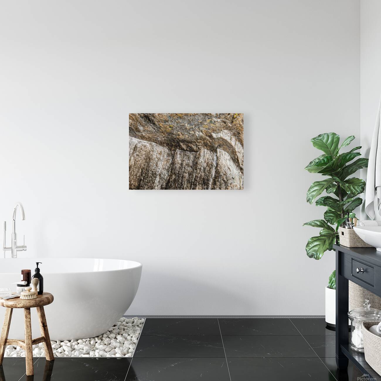 Schist Form Reproduction