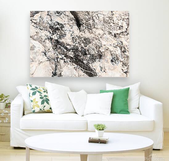 Mineralisation Reproduction