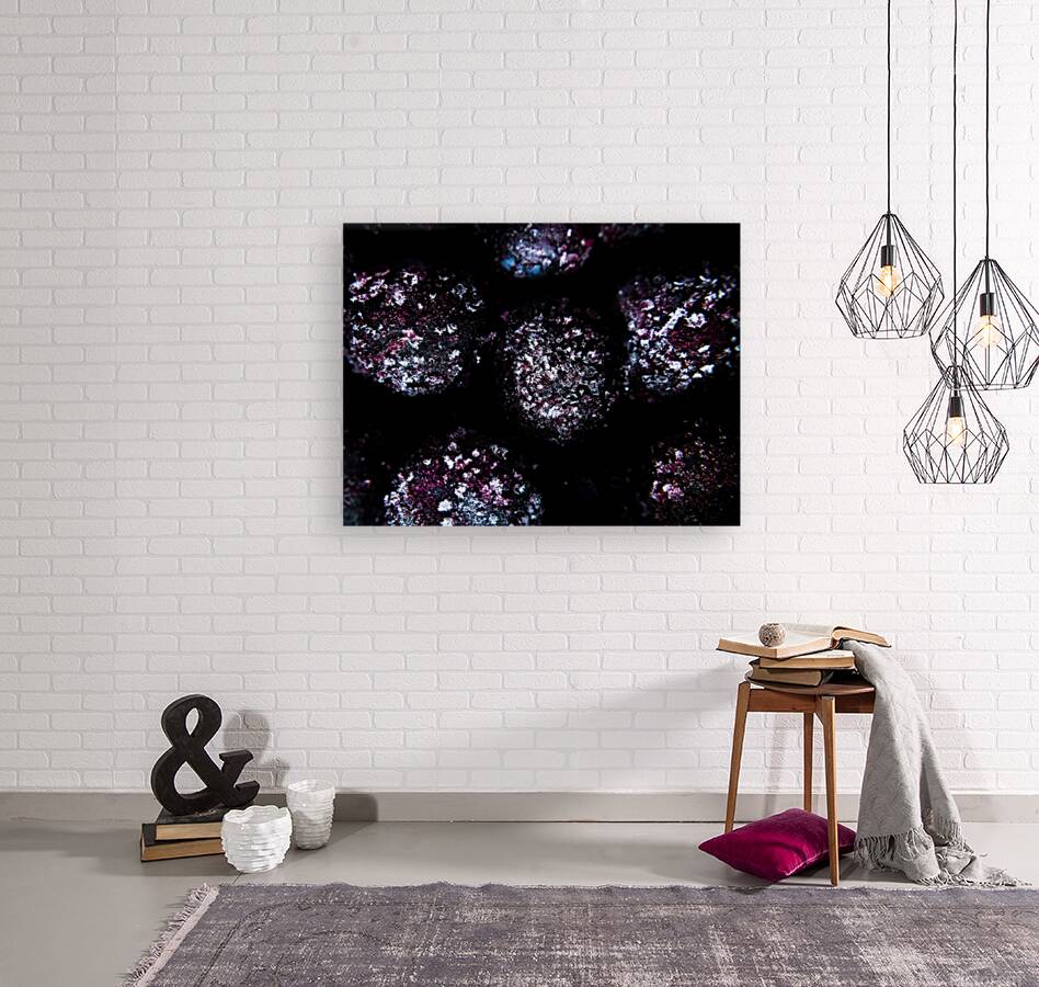 Deep Freeze Reproduction