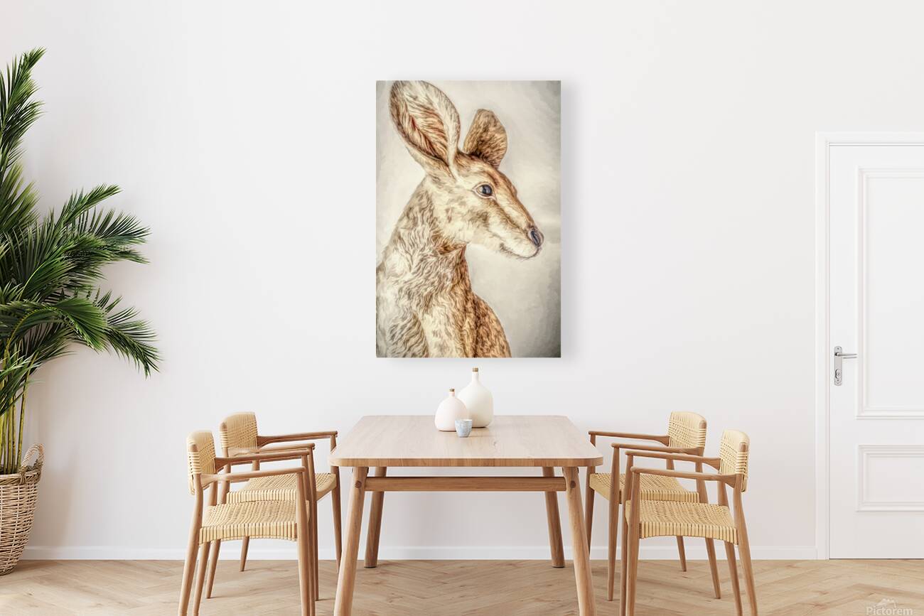 Golden Kangaroo Reproduction