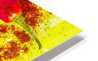 Pepper pop HD Metal print