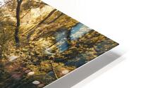 Golden waters HD Metal print