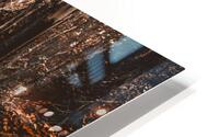 Wayback woods HD Metal print