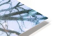 Tree of frost bite HD Metal print