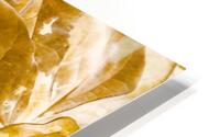 Seasonal gold HD Metal print