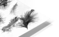 Flock in feather HD Metal print