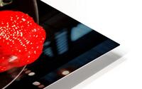 Strawberry cocktail HD Metal print