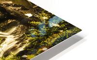 Spring falls HD Metal print