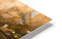 Fall of autumn  HD Metal print