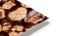 Country wood HD Metal print