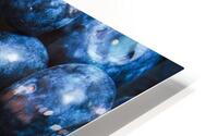 Blueberrys background HD Metal print