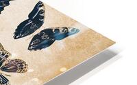 Scrapbook butterflies HD Metal print