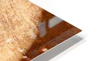 Rustic roast HD Metal print
