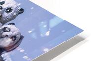 Panda frosts HD Metal print