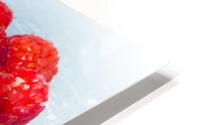 Still life raspberries HD Metal print