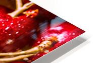 Cherry closeups HD Metal print