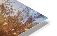 Quiet Mountain Paradise HD Metal print