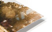 The Distance HD Metal print