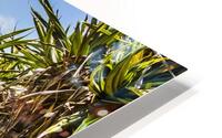 Beyond The Palms HD Metal print