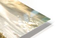 Golden Light HD Metal print