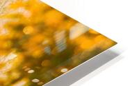 Soft Obscurity HD Metal print