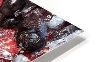 Berries And Ice HD Metal print