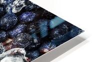 Blueberry Cool HD Metal print
