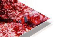 Frozen Raspberries HD Metal print