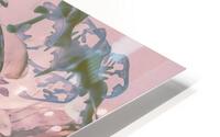 Peachy Wash HD Metal print