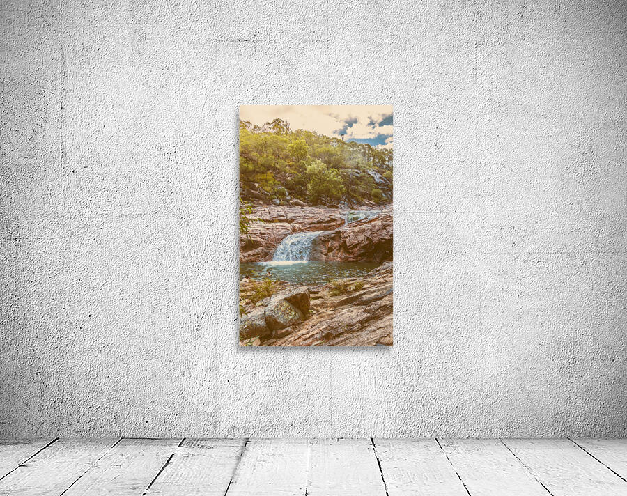 Bushland oasis Wall Preview